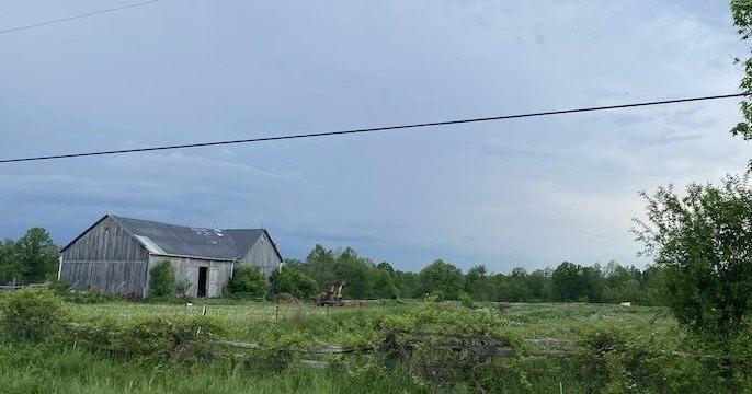 Parts of Ottawa Valley under severe thunderstorm watch - Vimarsana News