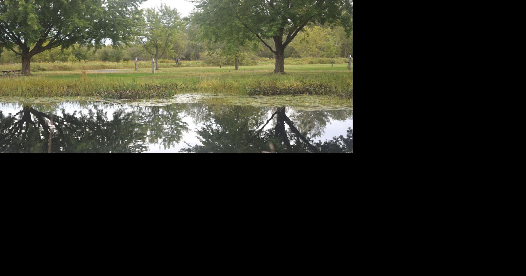 Mayor dismisses idea of dog park at Perth’s Last Duel Park as plans ...