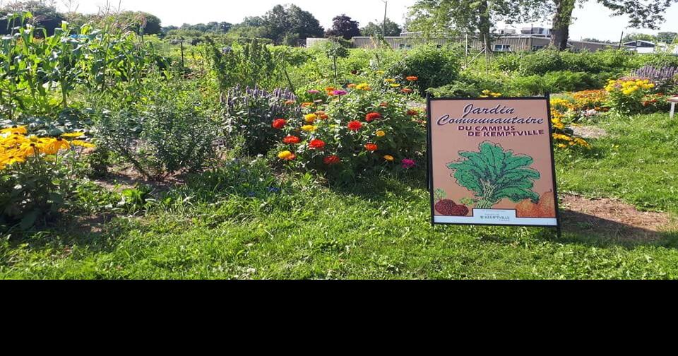 Kemptville Campus Community Garden hosting first Harvest Season Open House