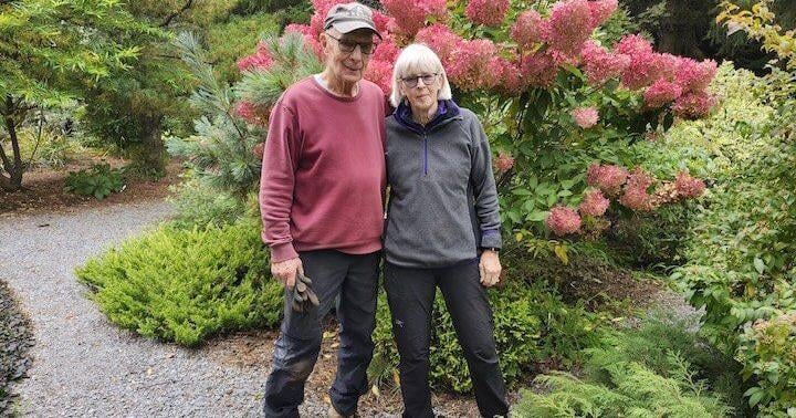 Html Book Chapter Display Whitehouse Nursery and Display Gardens seeks new owners