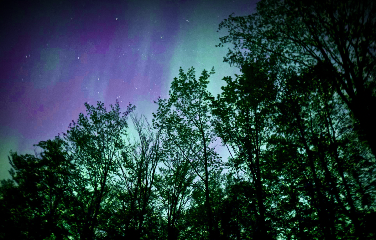 Northern light 72 on sale
