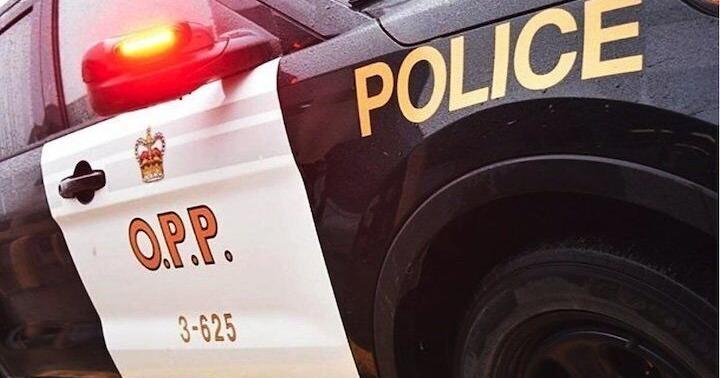 Renfrew OPP look to identify vehicle from November incident