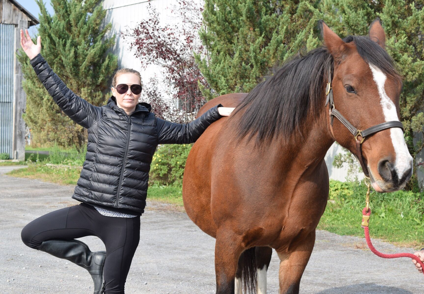 5 Yoga Poses on Horseback | Equestrian Yoga with Cathy Woods | wehorse -  YouTube