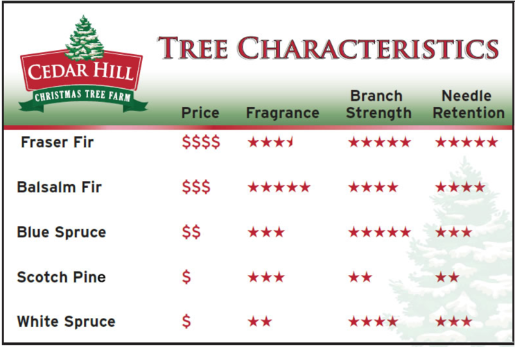 Are Christmas trees really skyrocketing in scarcity and price? Here's