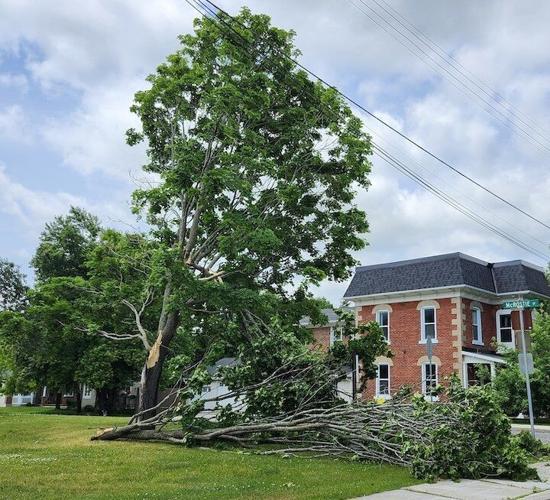 The aftermath: Saturday night s storm in the Ottawa Valley