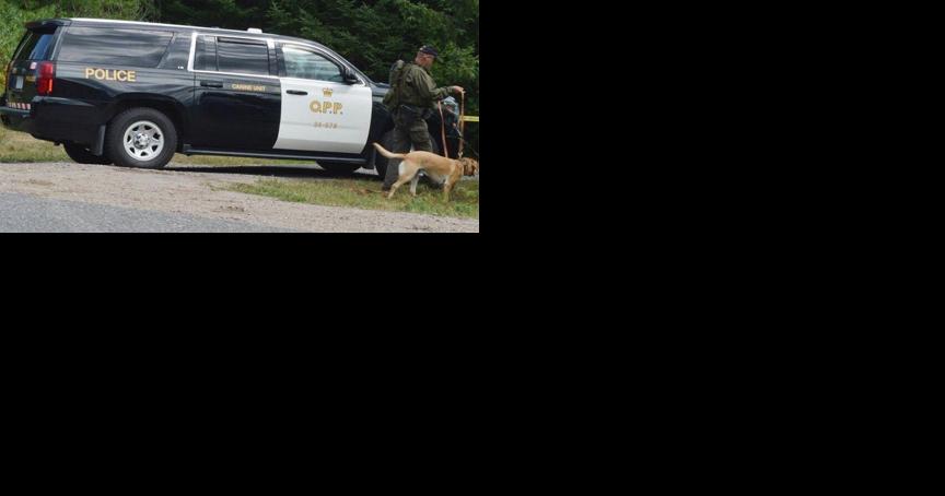 21-year-old Arnprior man arrested after fleeing from police - Vimarsana News