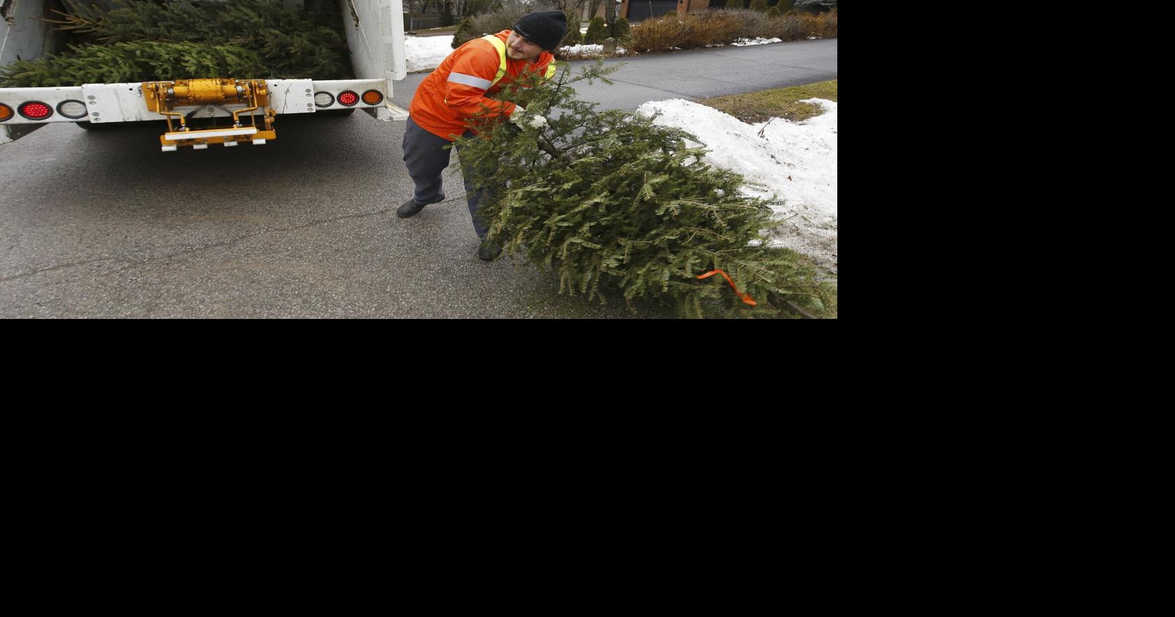 Here’s how you can dispose of your Christmas tree