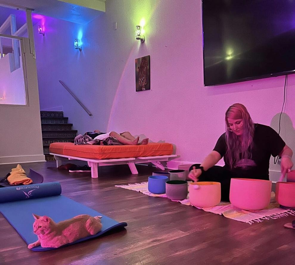 El Jefe Cat Café hosts interactive events with feline friends
