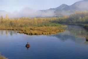 Game Fish Offering Arizona Residents Lifetime Licenses Community Lifestyle Insidetucsonbusiness Com