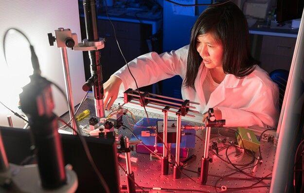 Ua Researcher Developing Flower Device To Detect Cancer Covid 19 Business Insidetucsonbusiness Com