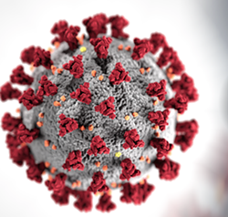 Additional Covid 19 Antibody Tests Available In Pima County News Insidetucsonbusiness Com