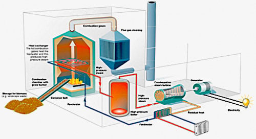 biomass power plant