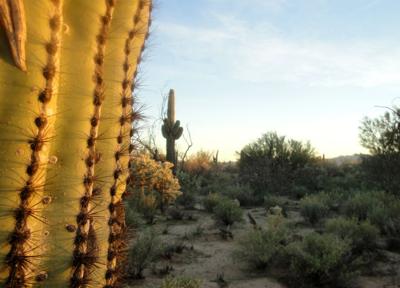 developer supervisors reach accord