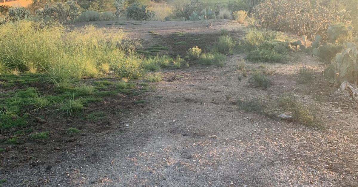 Oro Valley Council to reopen golf course at Pusch Ridge by fall 2021 ...