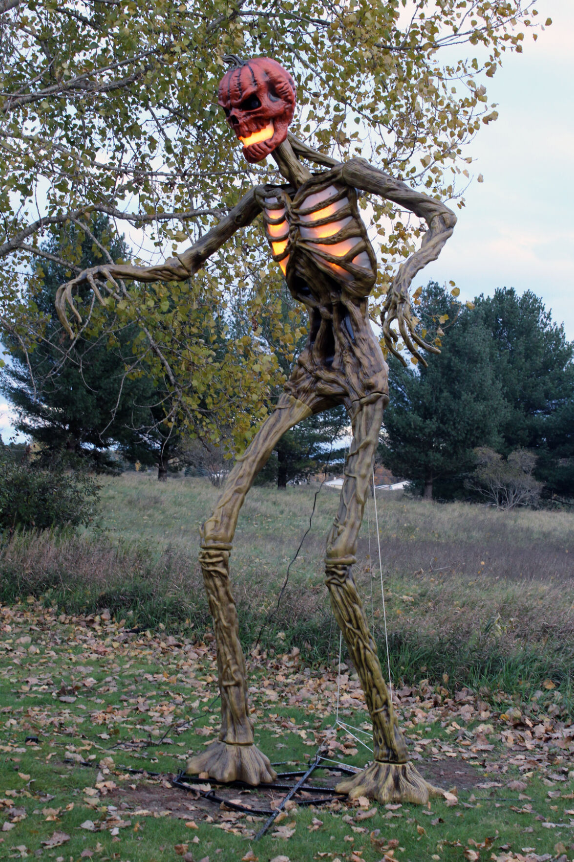 INFERNO PUMPKIN SKELETON