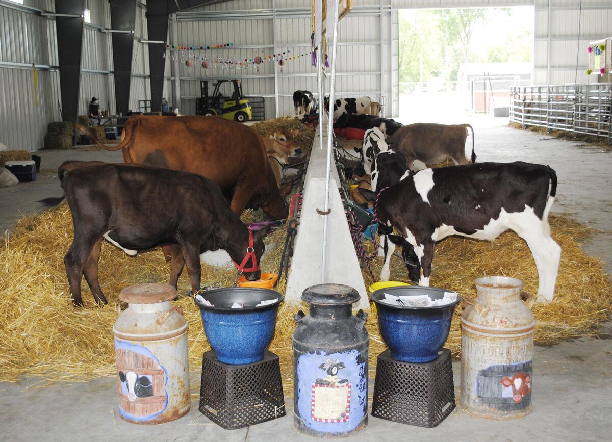 DAIRY DISPLAY