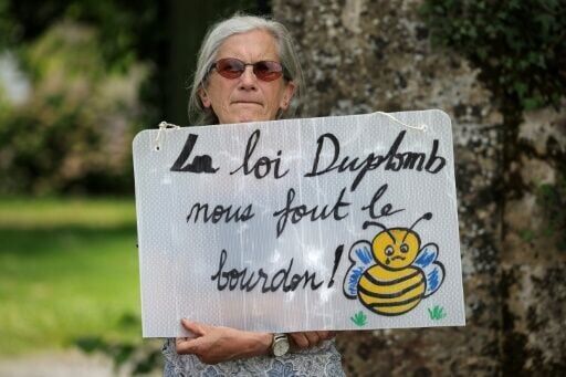 France petition against bee-killing pesticide tops two million backers ...