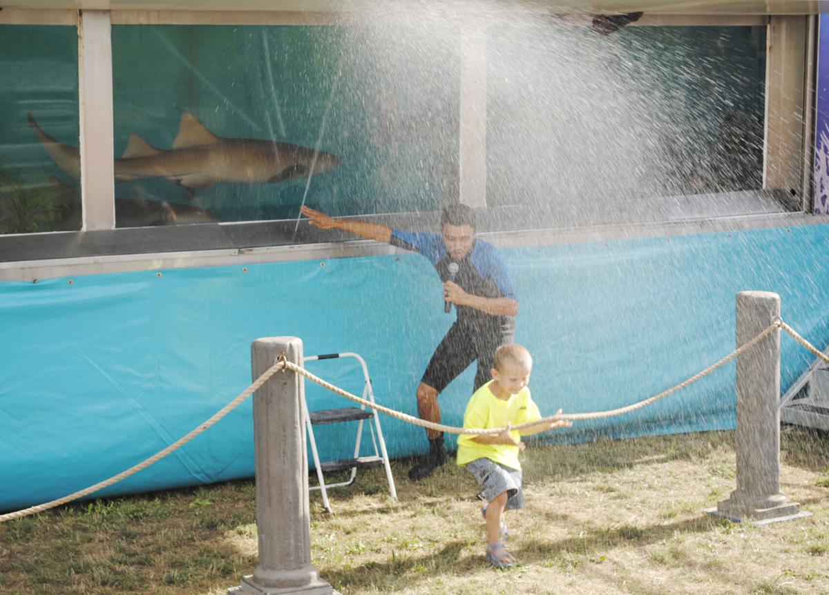 TANK PRANK