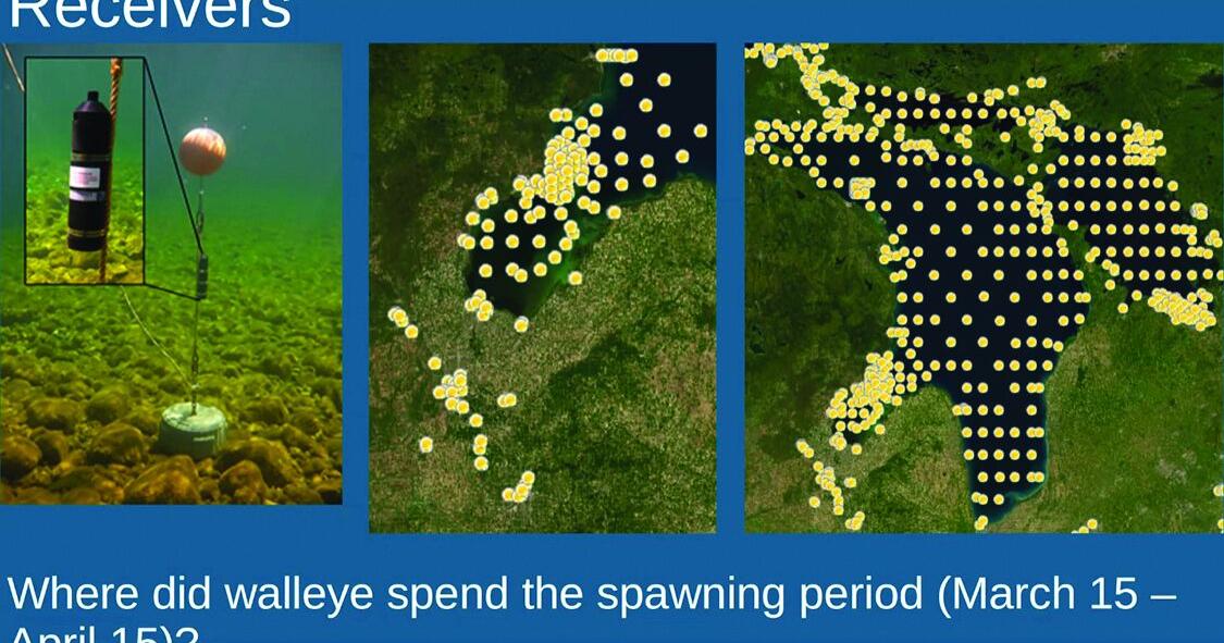 Acoustic telemetry benefits detailed for fisheries workshop attendees