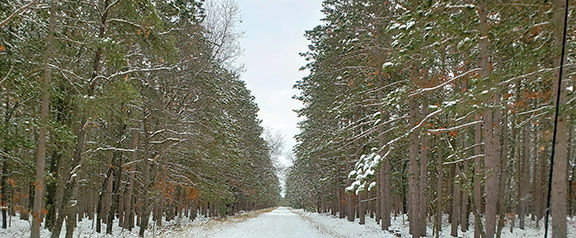 A WINTER’S VIEW