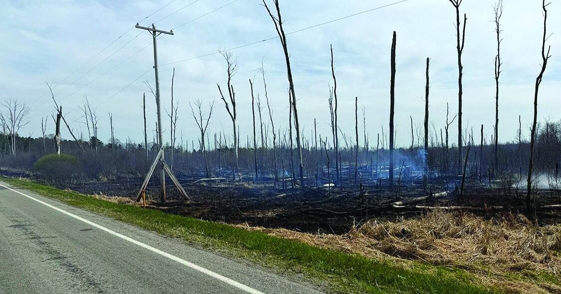 Downed power line precipitates two-acre fire in Baldwin Township