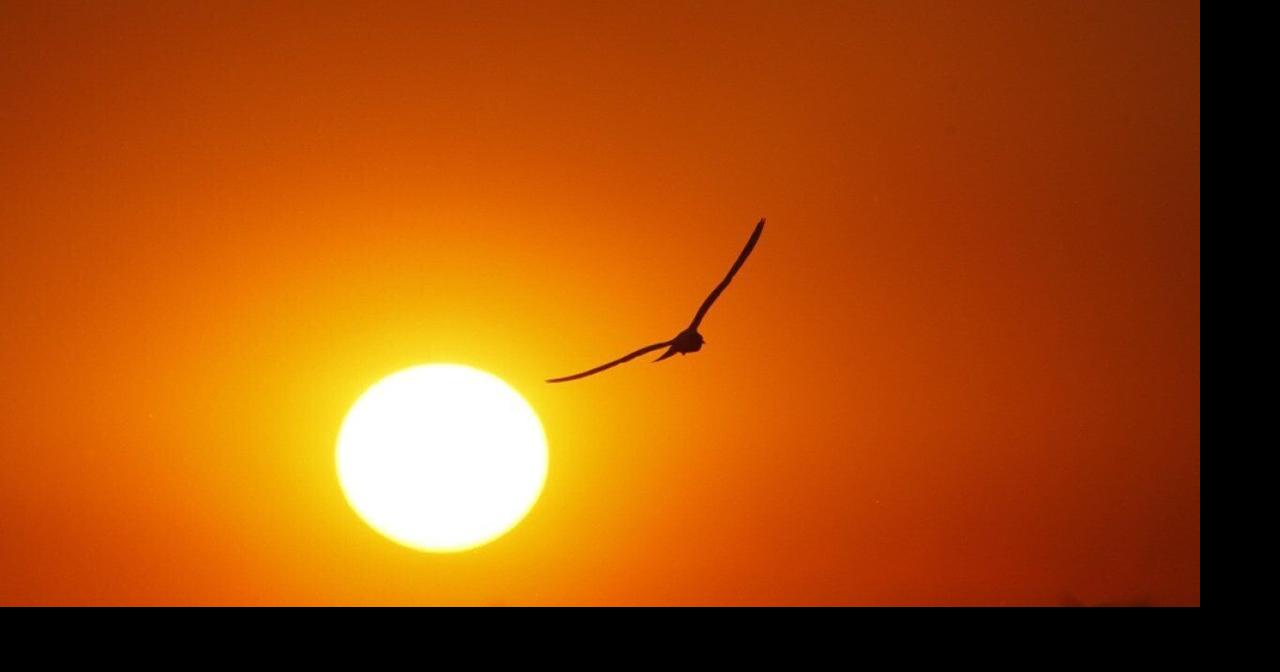 Hottest Decembers in Michigan since 1895