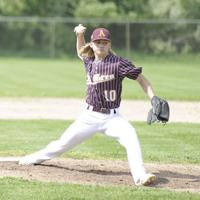 AuGres baseball comes up one win short of district title