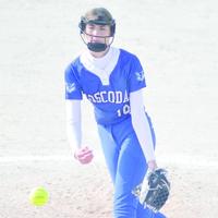 Successful Oscoda softball season culminated in another league title