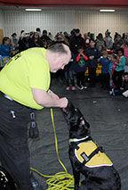 DOGGY DEMO