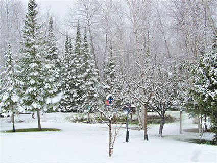 MOTHER’S DAY SNOWFALL