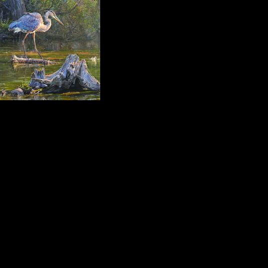 Former Oscoda resident becomes first Michigan artist to attain Master Wildlife Art status