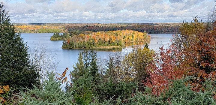 FALL COLORS