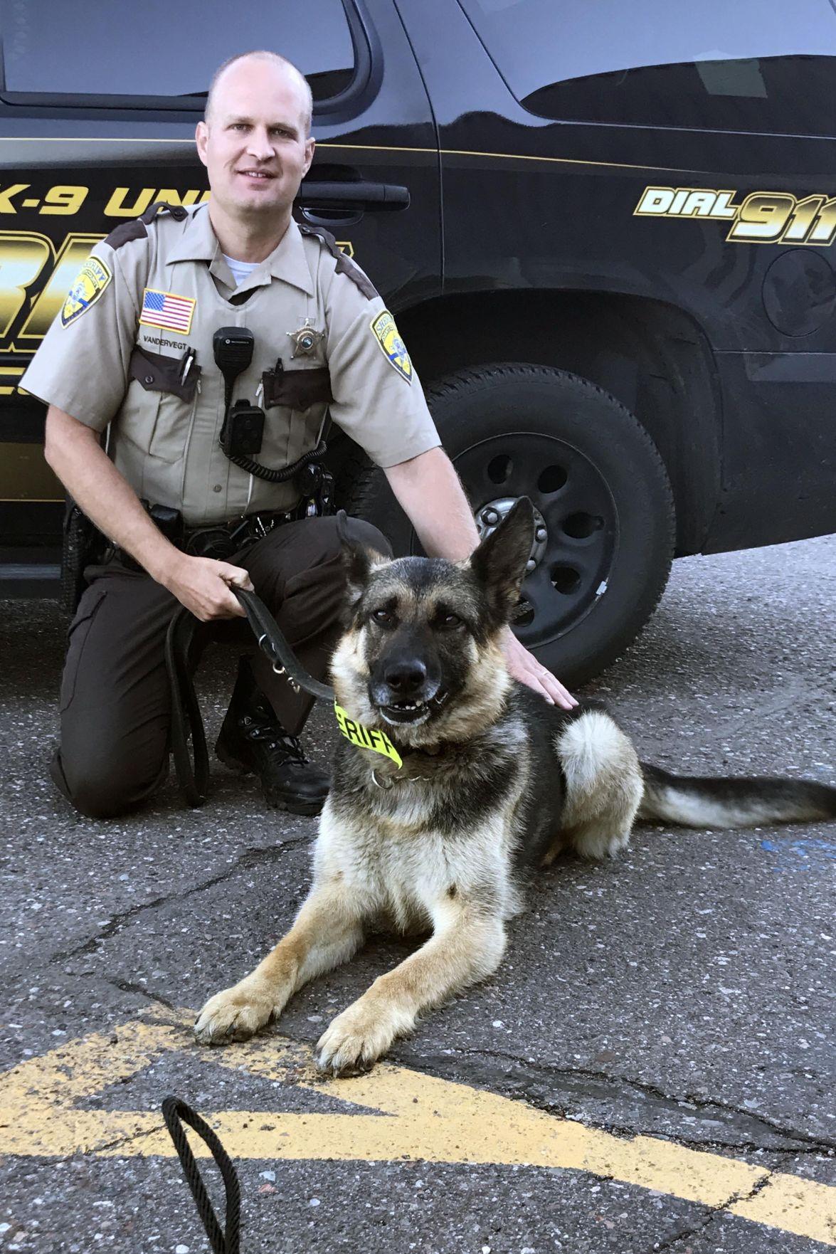 Isanti County Sheriff's Office adding second K9 officer News isanti