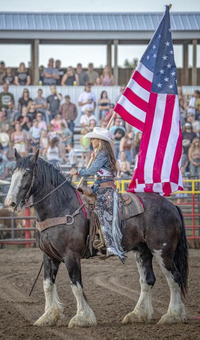 Horse collapses, dies during Isanti rodeo | News | isanti ...