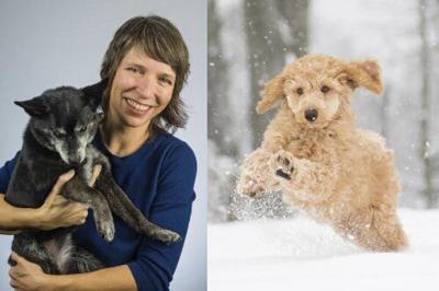 Talking with the Experts: Talking cold weather and pets