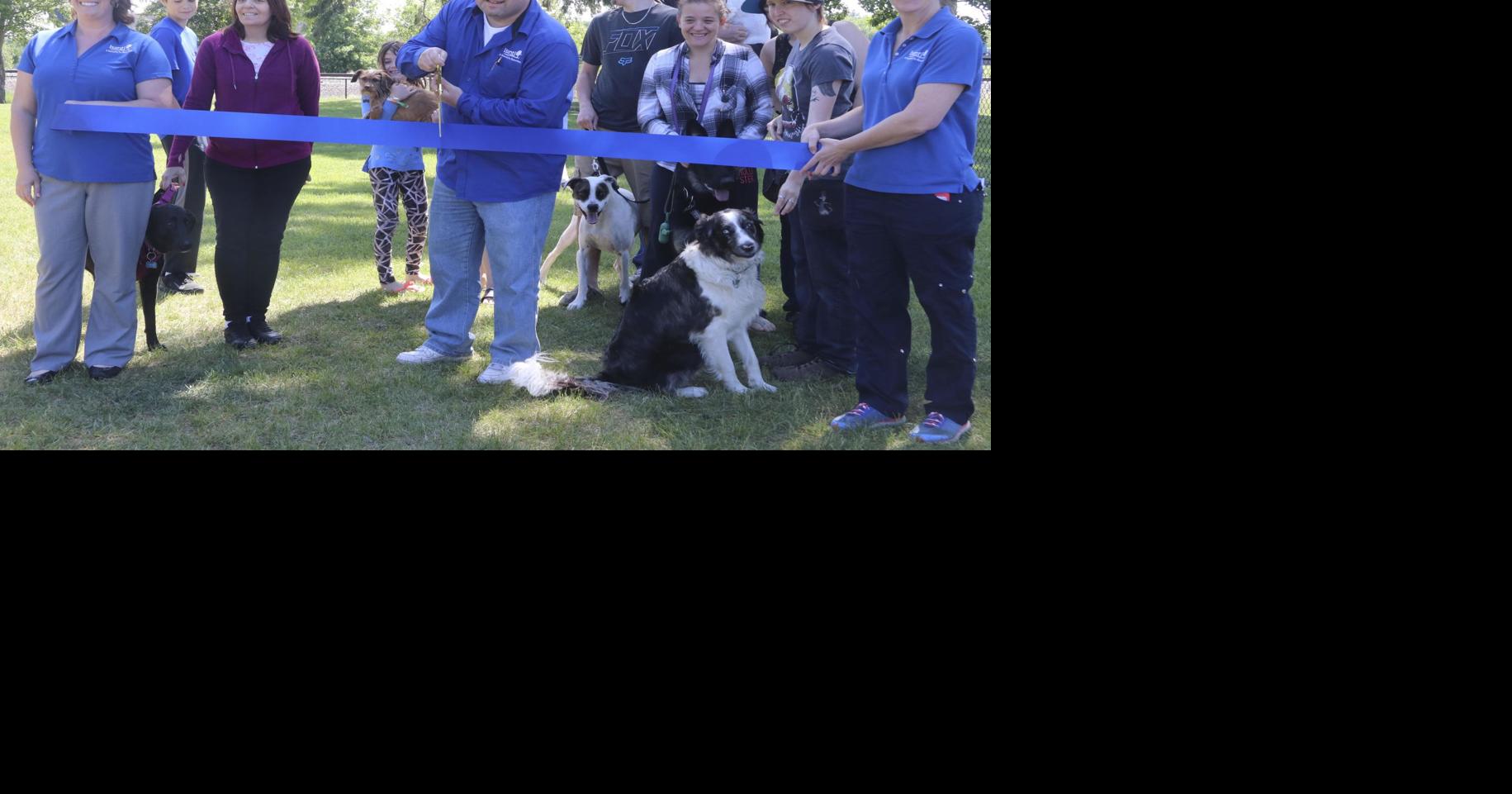 The city of Isanti is going to the dogs News isanti