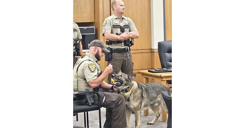 K9 Maverick retires from duty
