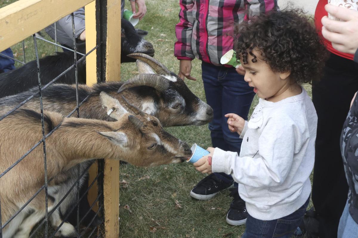 Hundreds flock to inaugural 'Fall Fest'