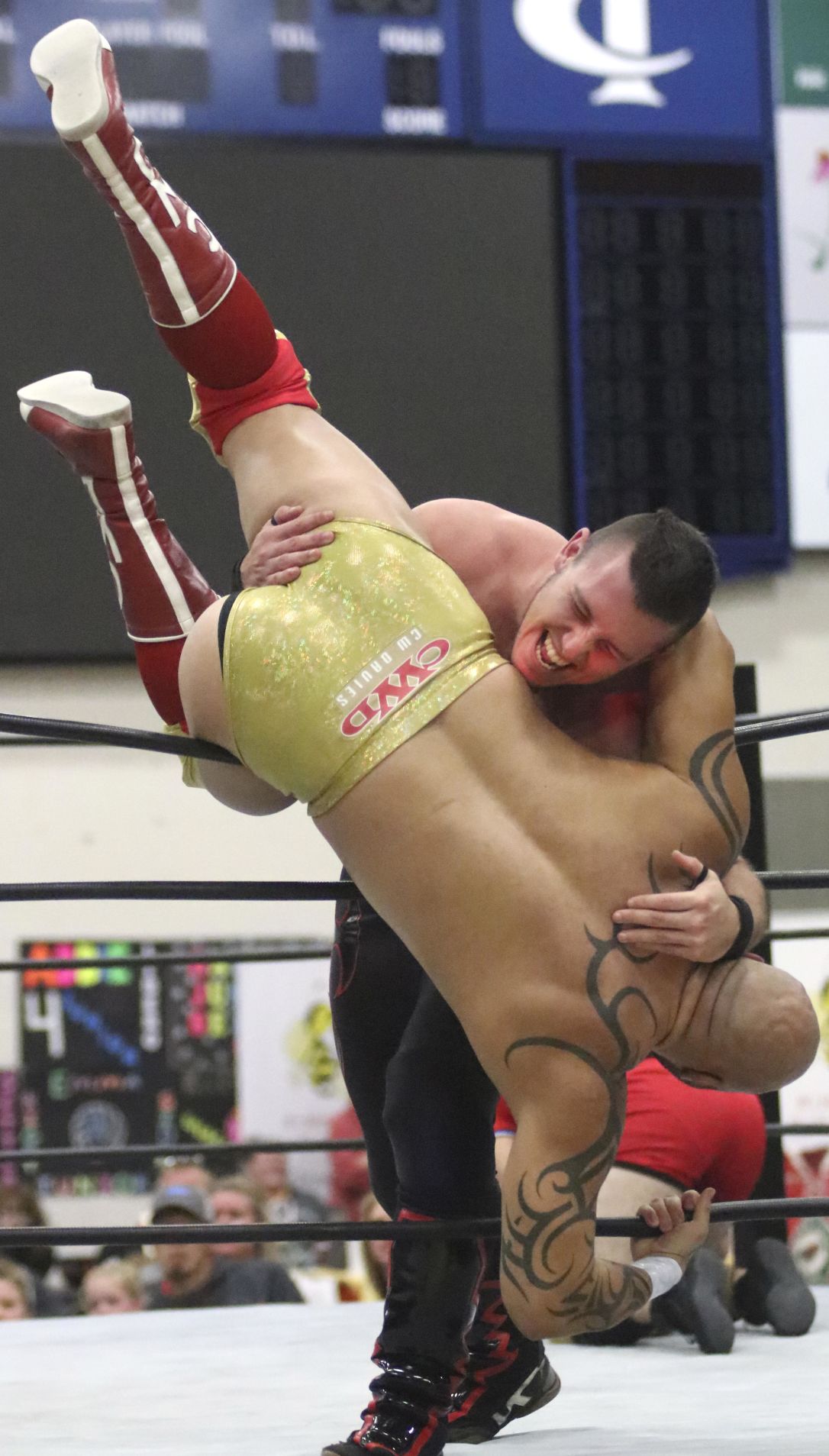 AWF again brings high-flying action to Cambridge