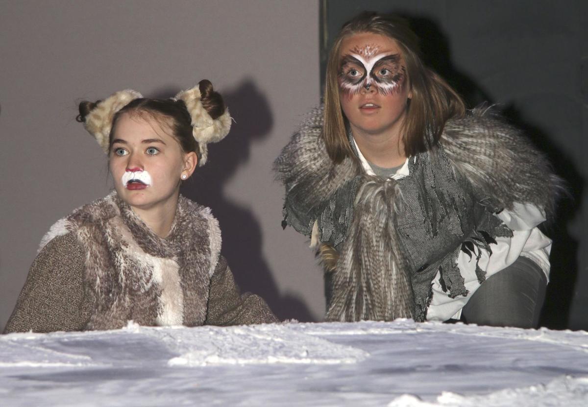 Audiences To Be Taken On Magical Trip To Narnia News Isanti