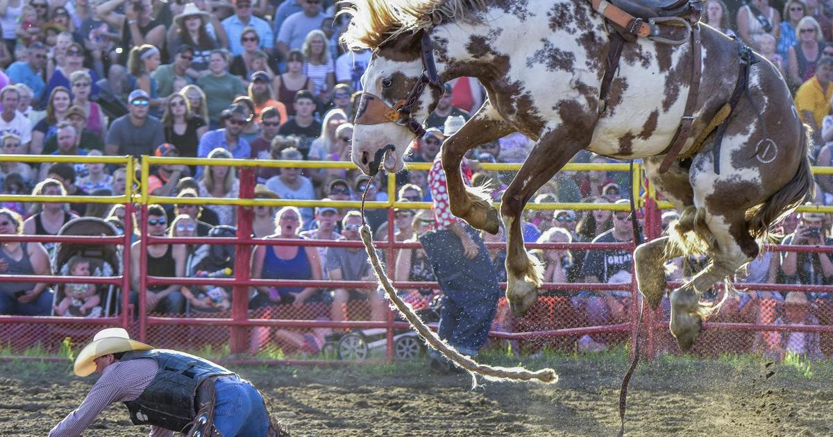 Isanti rodeo action once again thrills capacity crowds | News | isanti ...