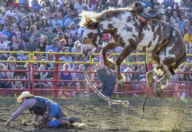 Isanti rodeo action once again thrills capacity crowds News isanti