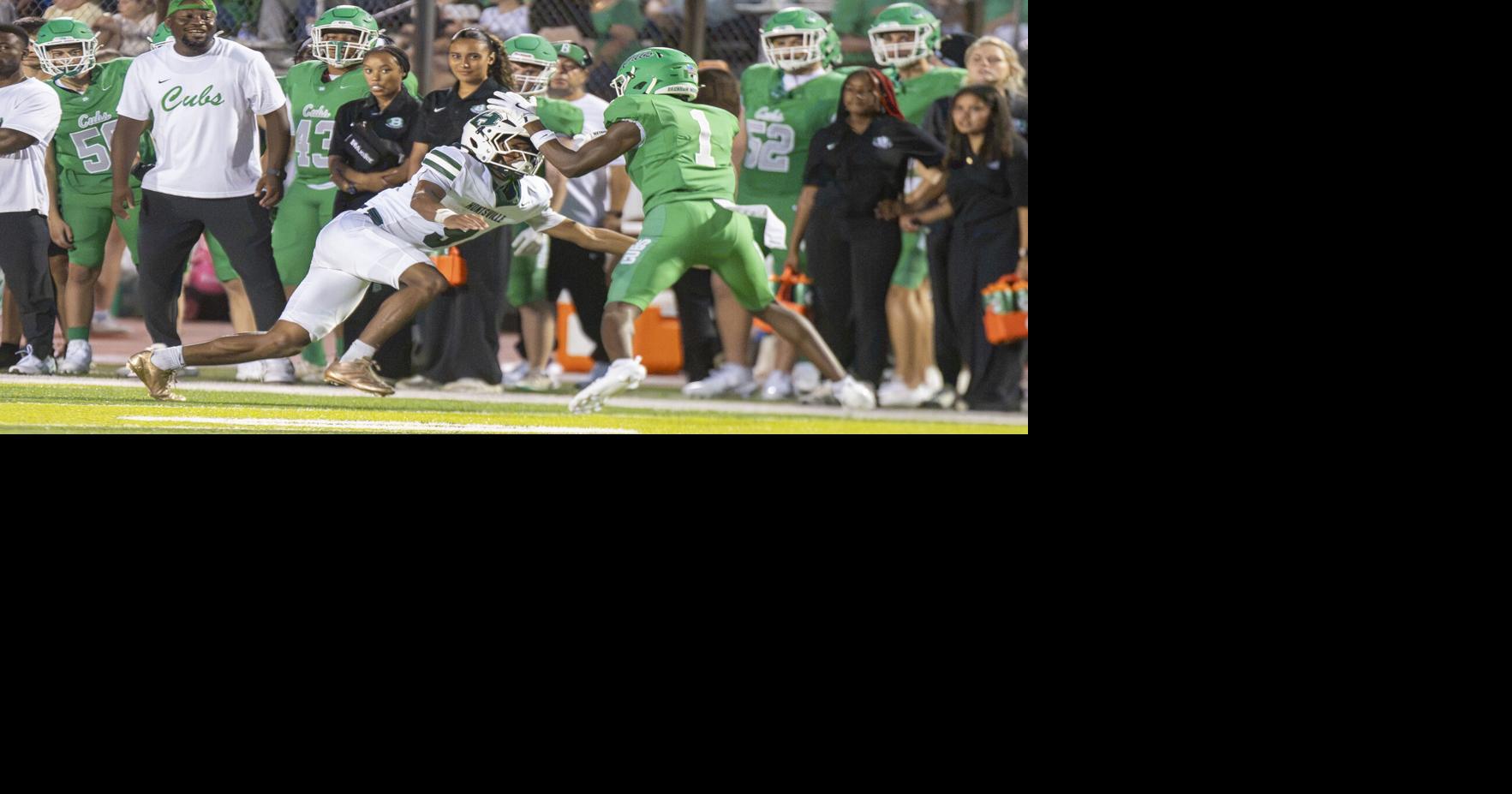 Hornet miscues lead to loss in season opener