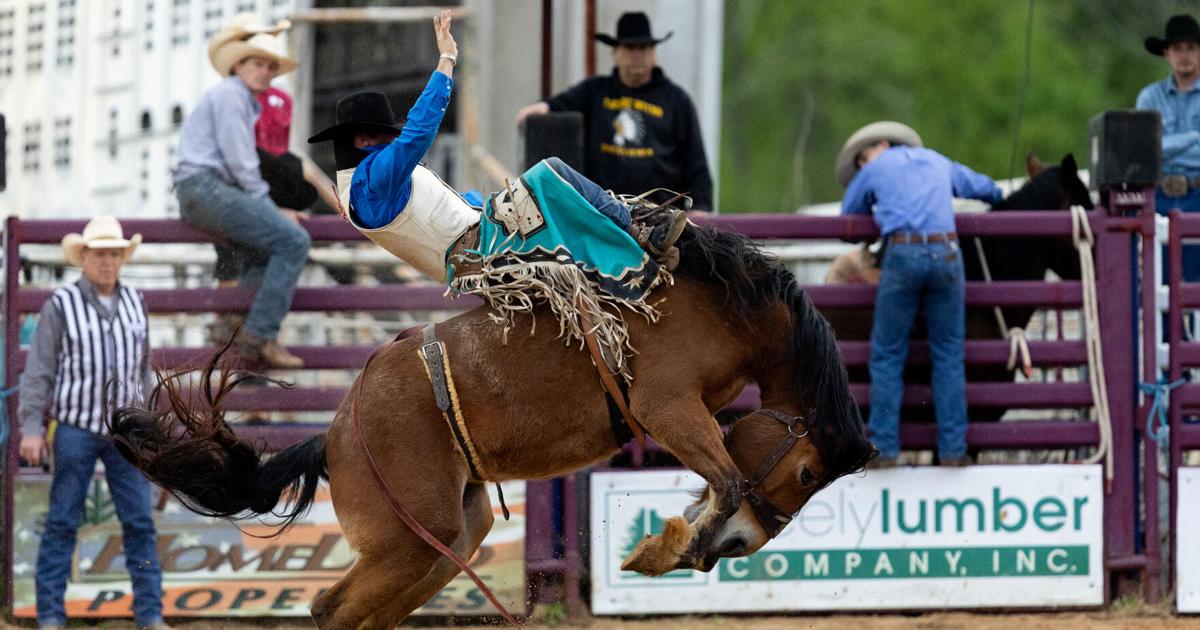 Grovertown Rodeo Welcome to the show: Walker County Fair and Rodeo kicks off this week ...