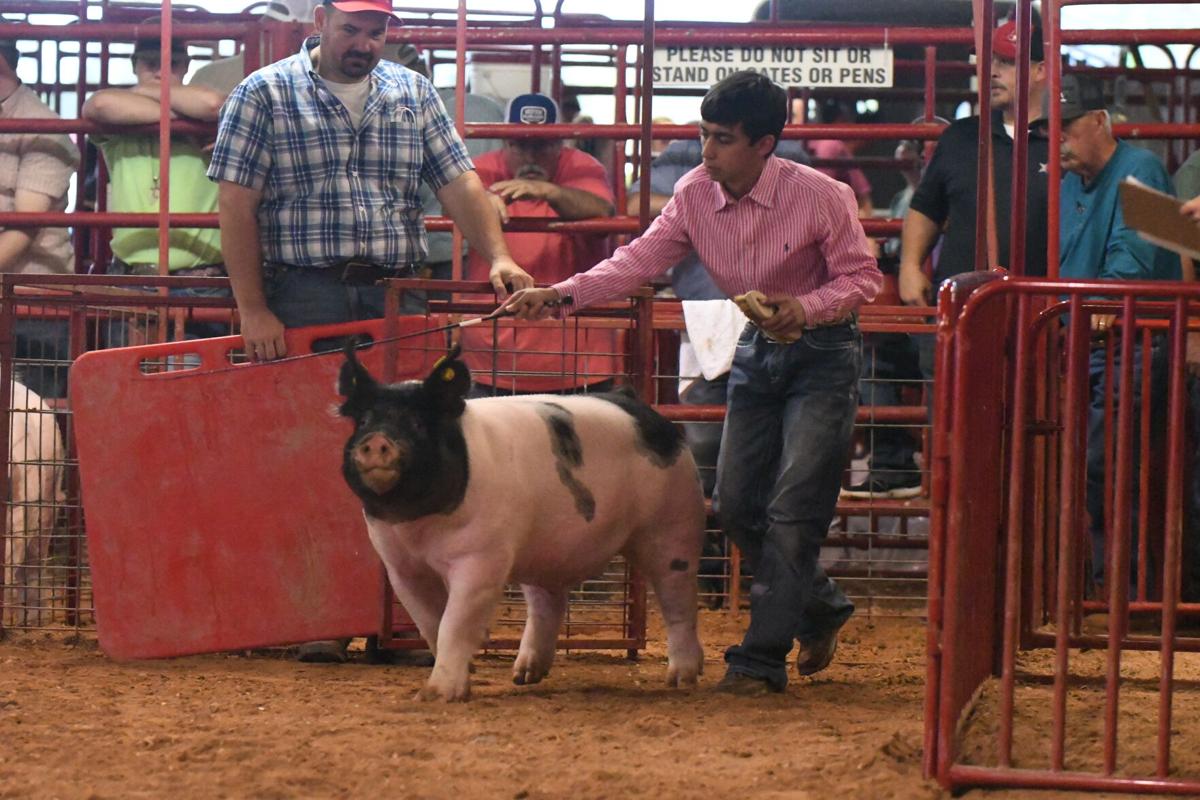 2021 Walker County Fair Results News