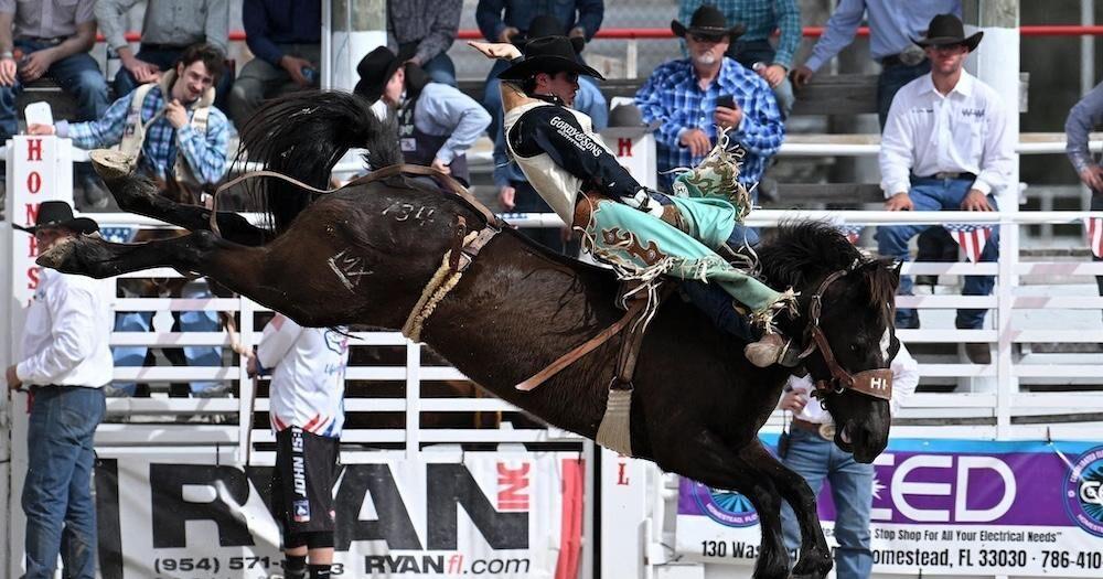 Bearkat Bronc Rider Bucks Into Arlington - Vimarsana News