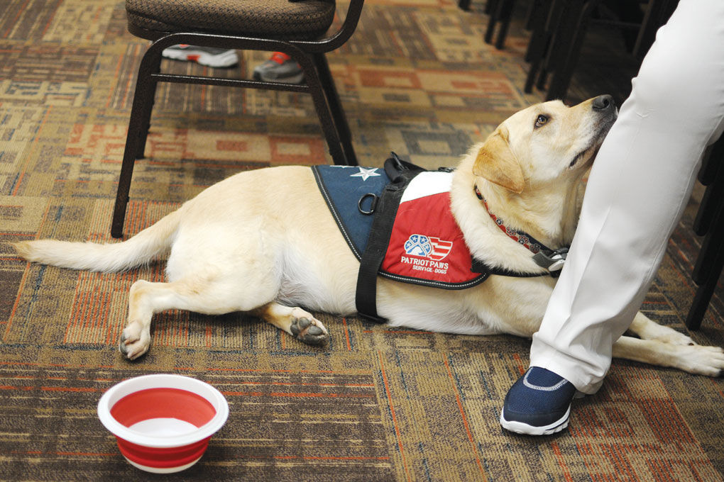 PATRIOT PAWS PROGRAM: A win, win, win for disabled veterans, female inmates and sharp dogs