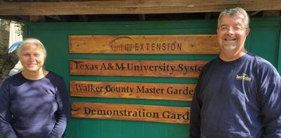 Becoming A Master Gardener News Itemonline Com