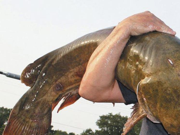 OUTDOORS: Noodling tournament takes place in North Texas