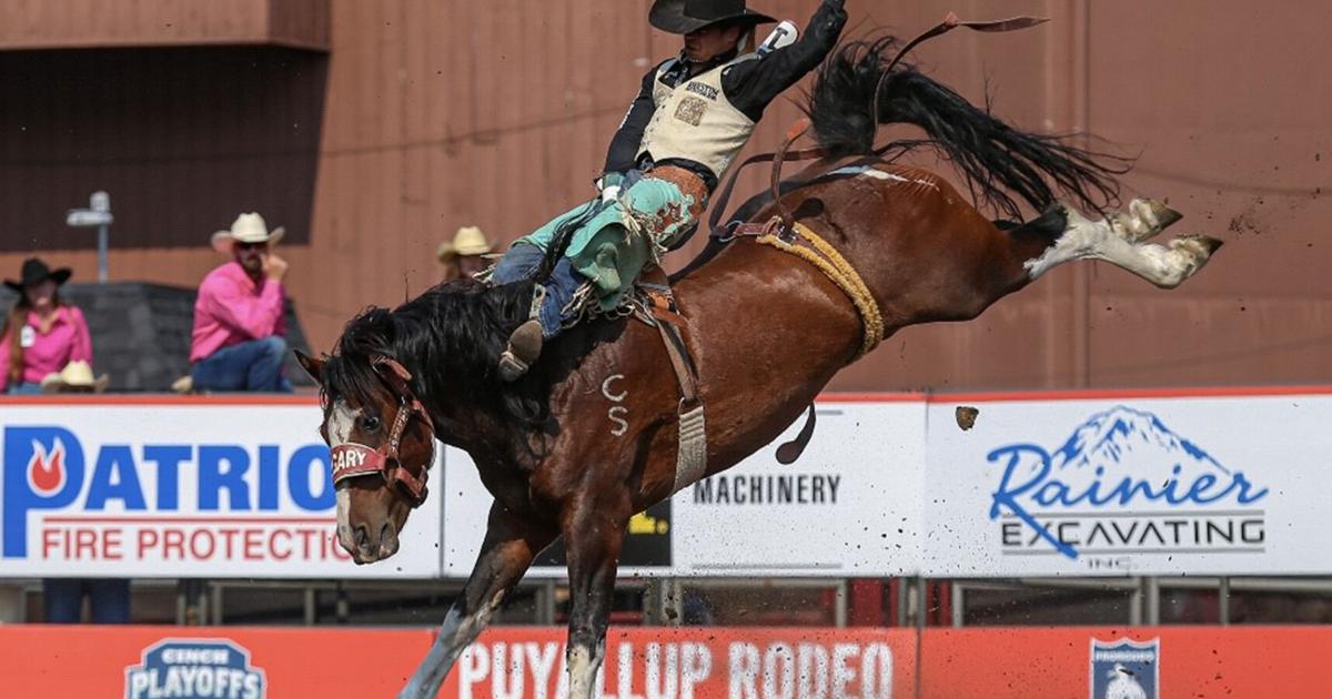 Miller’s NFR dream is a reality | News | itemonline.com